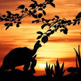 <p>Đã 7 năm trôi qua kể từ ngày Rùa bất ngờ chiến thắng. Thỏ tình cờ thấy đối thủ cũ đang ngồi bên bờ sông. Không biết do cảnh hoàng hôn quá đẹp, hay tại 7 năm là quá dài để nuôi một ân oán nhỏ, Thỏ quyết định đi tới và bắt chuyện với […]</p>
