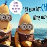 <p>Thời điểm quan trọng nhất để có ngày mới vui vẻ hôm nay, thật ra là vào… cuối ngày hôm trước. Hiểu luật nhân quả sẽ giúp bạn hiểu rõ và hành động phù hợp.</p>
