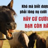 <p>Không phải là người có cách nói chuyện hài hước tự nhiên, do yêu cầu công việc mà tôi phải học cách làm người ta há miệng cười, để kiến thức chui vào bụng.</p>
