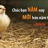 <p>Đừng chúc mừng năm mới với những nuối tiếc của năm cũ, hãy học cách chia tay năm cũ thật trọn vẹn từ bậc thầy phát triển bản thân Brian Tracy.</p>
