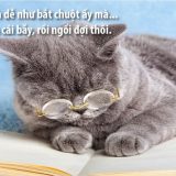 <p>Phong ba bão táp không bằng ngữ pháp Việt Nam, nhưng cấu trúc tiếng Anh mà không biết cách thì cũng khó đấy. Clip giúp bạn thuộc nhanh 100 cấu trúc.</p>
