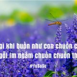 <p>Bạn bị điểm xấu? Bạn gặp thất bại? Hay bị gấu đá? Tóm lại là buồn như chuồn chuồn. Vậy khi buồn nên làm gì là tốt nhất? Tôi khuyên bạn hãy.. ngồi im.</p>
