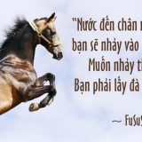 <p>Kẻ dốt đi thi run đã đành, người giỏi đi thi vẫn cứ run. Run khi đi thi dường như ai cũng gặp phải, vậy làm sao để vượt qua và đạt kết quả thi thật là tốt?</p>
