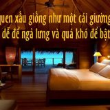 <p>Danh sách 100 thói quen xấu cần phải tránh để có một cuộc đời viên mãn, cũng như cách bỏ chúng tốt nhất, tốt nhì và hành trình 8 tuần từ bỏ thói quen xấu.</p>
