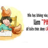 <p>Làm gì khi học không vào? Làm phao ư? FuSuSu, chuyên gia về cách học thuộc lòng lại cổ súy làm phao ư? Hãy bình tĩnh và đọc hết bài này để biết sự thật nhé.</p>
