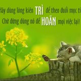 <p>Chuyện kể về chàng trai nọ, thói quen trì hoãn không chỉ khiến anh gặp nhiều trắc trở trong công việc, mà chuyện tình duyên cũng lận đận. Khi nghe nói…</p>
