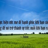 <p>Trả góp cho ước mơ, một cách thực hiện ước mơ, một phương pháp quản lý thời gian hiệu quả giúp bạn tiến tới mục tiêu mỗi ngày mà không trì hoãn.</p>
