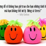 <p>Làm gì khi bị stress? Stress là do những kỳ vọng của tâm trí không đạt được. Giống như đứa trẻ muốn  đồ chơi mới, bạn càng cố thỏa mãn thì lại càng tai hại.</p>
