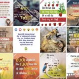 <p>Những câu nói ý nghĩa về cuộc sống giúp bạn tạo cảm hứng mỗi ngày, hoặc đơn giản là chia sẻ để cho ai đó đang thật sự cần.</p>
