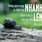 <p>Thật là lạ khi hầu hết mọi người đều ráo riết săn lùng những bí quyết thành công đột phá, mà chúng ta ở đây lại bàn về cách “nhích” tới thành công.</p>
