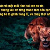 <p>Buồn chán và mệt mỏi như hai con sư tử, đừng để chúng xâu xé từng mảnh tâm hồn bạn, hãy quẳng ba lô gánh nặng đi, và chạy thật nhanh, khi còn có thể!</p>
