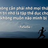 <p>Tại sao lại không tìm cách luyện trí nhớ cơ chứ? Sự thật là lúc bé, người ta hay quên cái nọ cái chai, mà lúc già thì cũng lẩn thẩn chẳng nhớ được ai.</p>
