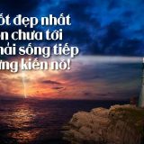 <p>Ai mà không có lúc cảm thấy bế tắc trong cuộc sống chứ? Hãy ghi nhớ 7 điều sau để tự cứu mình vào lúc đó nhé, vì chỉ có bạn mới biết điều gì là tốt nhất!</p>

