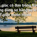 <p>Cảm giác cô đơn trống trải không đáng sợ như bạn nghĩ đâu, ít nhất là nó không đáng sợ bằng cảm giác lẻ loi giữa muôn người, kể cả người mình yêu nhất.</p>
