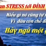 <p>Nếu google cách giảm stress hiệu quả nhất, có thể bạn sẽ… thêm stress, vì có quá nhiều lời khuyên. Vì thế mà trong Blog này, Fususu chỉ nói về một thứ!</p>
