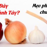 <p>Không biết cách phát âm Ed nói riêng, hay nói tiếng Anh chuẩn nói chung, dẫn tới “hành Tây hành Ta” lẫn lộn, bạn có thể được ngưỡng mộ, hoặc… đào mộ.</p>
