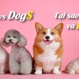 <p>Thú thật với bạn là hồi còn đi học, tôi rất hay “sờ lung tung”. Mong bạn đừng hiểu lầm nhé, ý tôi là khi cô giáo dạy cách phát âm tiếng Anh chuẩn s z. </p>
