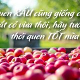 <p>Có một thói quen cần phải thay đổi, trước khi bạn muốn thay đổi thói quen khác. Đó thói quen nào ? Hãy khám phá thông qua câu chuyện về ông cụ Toqu nhé!</p>
