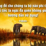 <p>Hầu hết mọi người khi tới già, mới quan tâm tới trí não. Họ lên mạng tìm thuốc, hoặc tìm  bài tập tăng cường trí nhớ. Thật ra, bạn nên tập ngay lúc này!</p>
