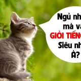 <p>Ai cũng dành phần ba cuộc đời để ngủ, sao không áp dụng cách luyện nghe tiếng Anh hiệu quả khi ngủ? Cơ mà làm sao cho hiệu quả thì không phải ai cũng biết.</p>
