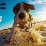 <p>Đã học tiếng Anh, sao không học 400 câu tiếng Anh hay này, giúp bạn quét sạch sự thiếu tự tin, để thay đổi bản thân và thành công hơn trong cuộc sống?</p>
