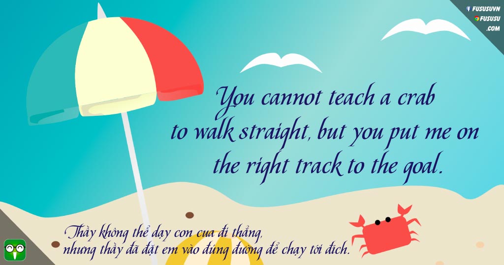 câu nói hay tặng thầy cô  - You cannot teach a crab to walk straight, but you put me on the right track to the goal.