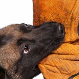 <p>Ai mà không sợ một thứ gì đó? Vậy cách để vượt qua nỗi sợ tốt nhất là gì? Hãy cùng Fususu khám phá qua câu chuyện “tuổi thơ dữ dội” này nhé.</p>
