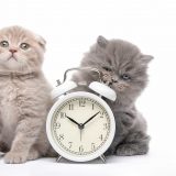 <p>Thượng đế cho chúng ta 86400 giây mỗi ngày, ai biết cách sắp xếp thời gian, thì sẽ đạt được những kết quả tốt hơn người khác. Vậy phải làm sao?</p>
