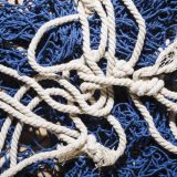 <p>Quy trình 3 bước khoa học hiệu quả giúp bạn từ bỏ thói quen xấu đeo bám dai dẳng, và tạo thói quen tốt thay đổi cuộc sống của mình.</p>
